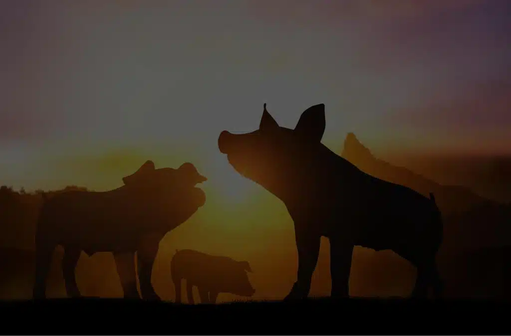 Sustentabilidade na Topgen