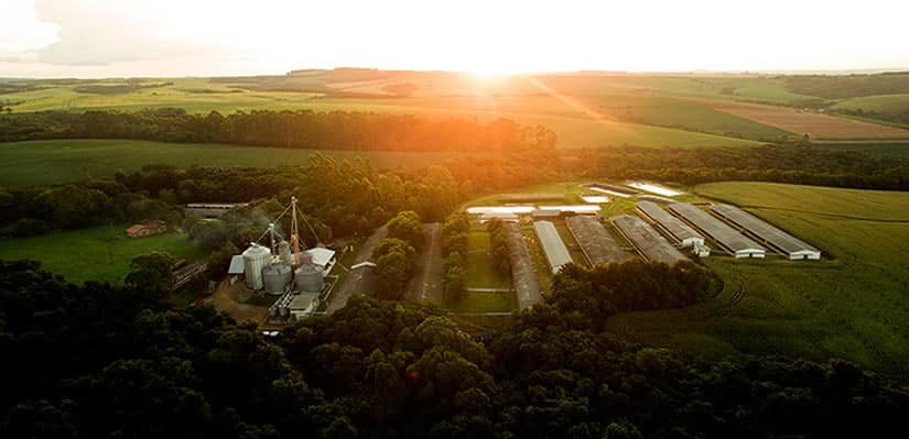 Topgen - Fazendra Araponga