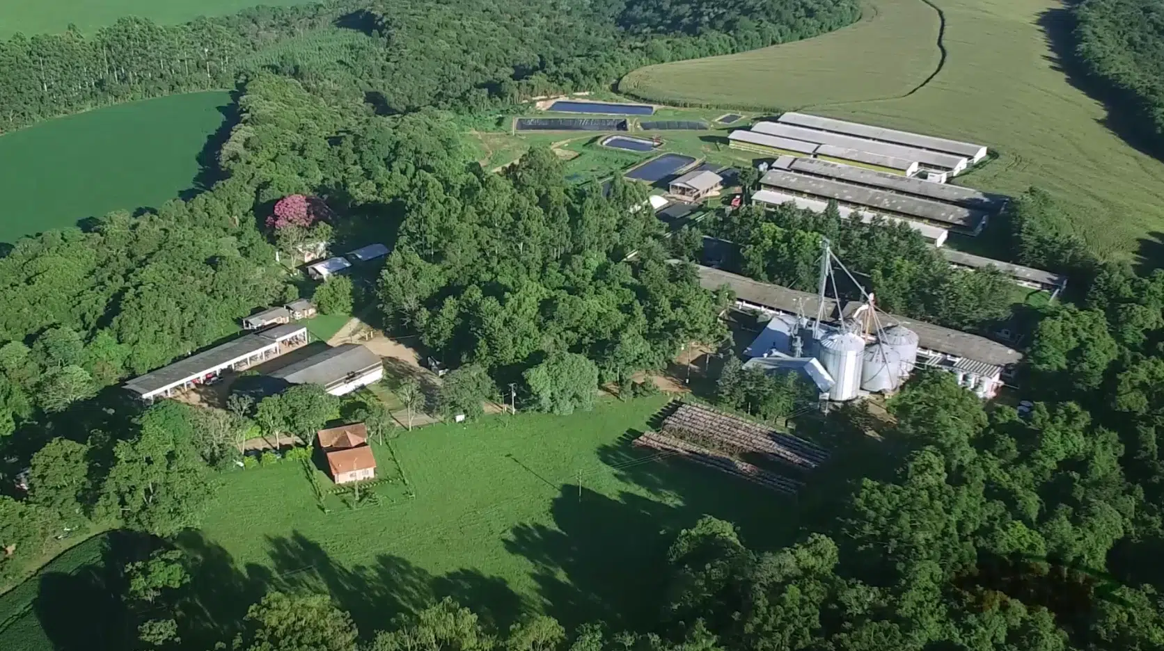 Topgen marca brasileira