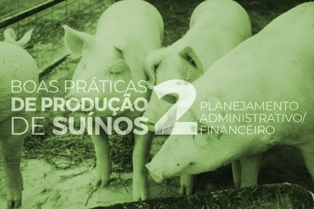 6 dicas para manter uma boa gestão