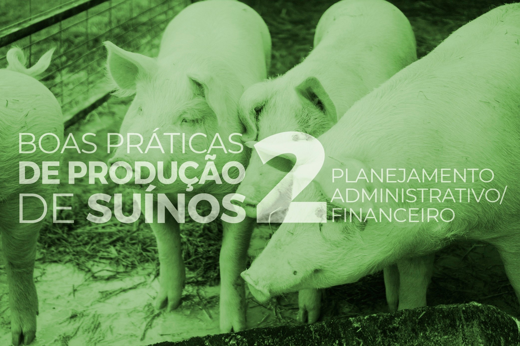 6 dicas para manter uma boa gestão