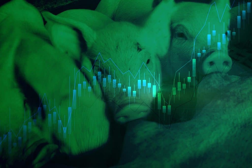 Produção de carne suína em 2023