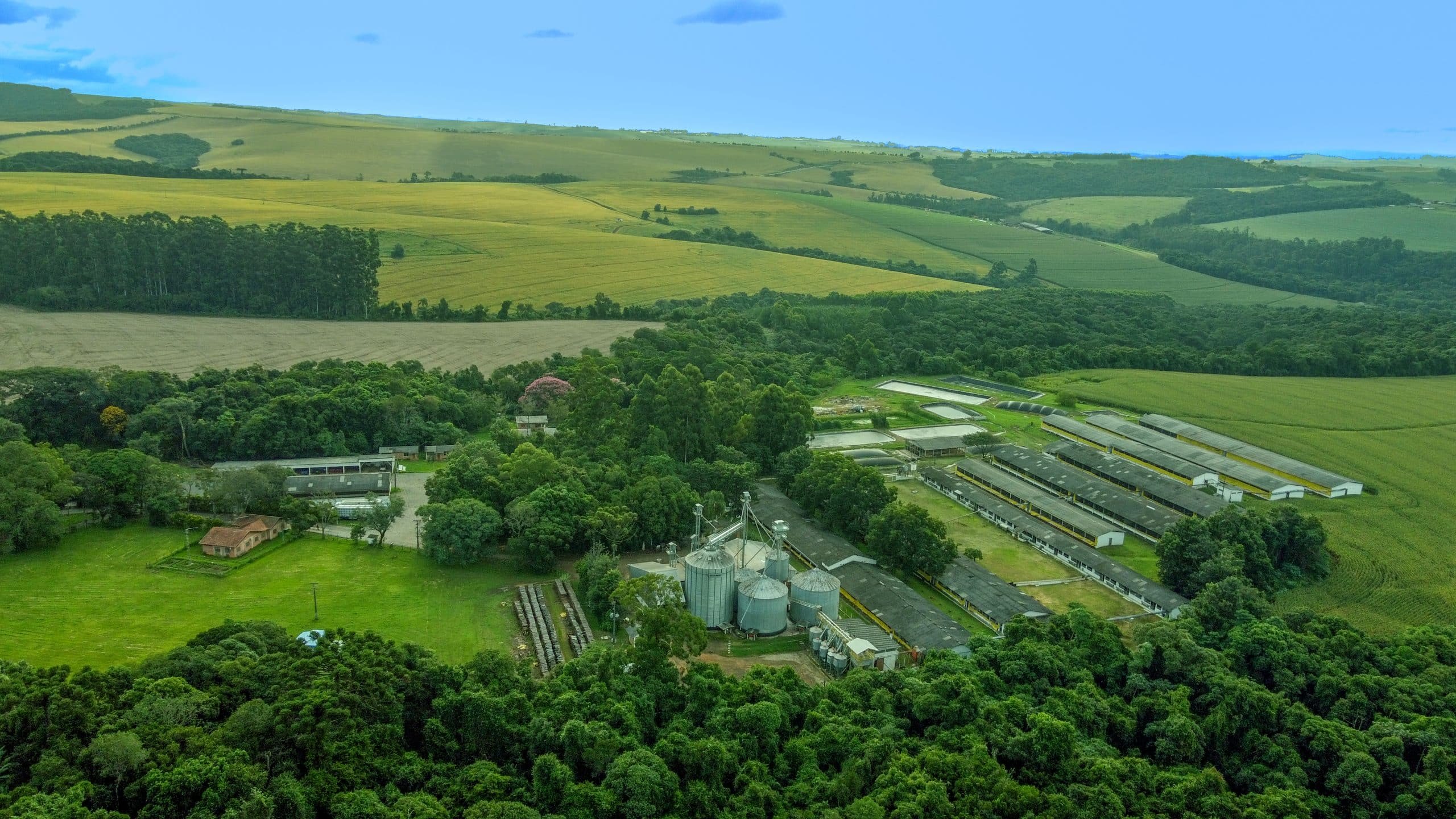 como-montar-o-projeto-ambiental-da-sua-granja