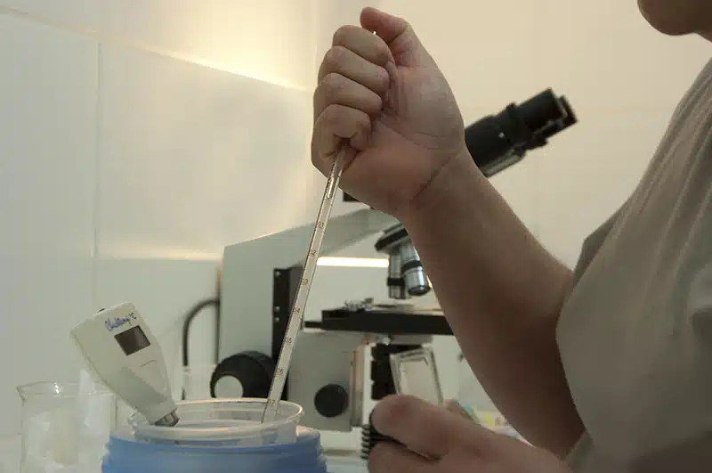 Laboratório indicando o papel da genética na terminação de suínos.